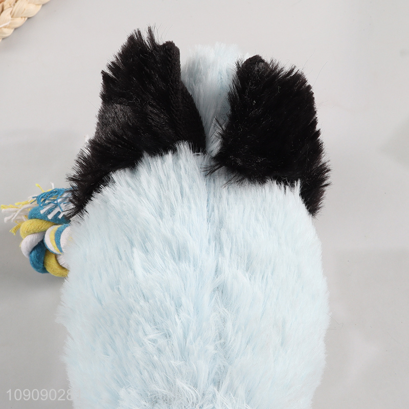 Most popular bite-resistant pet dog squeaky toy chew toys for sale