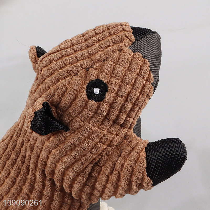 Yiwu market pet squeaky toys chew toys interactive training toys