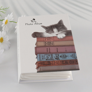 China Imports 100PCS 4X6 Inch Photo Album Family Picture Album