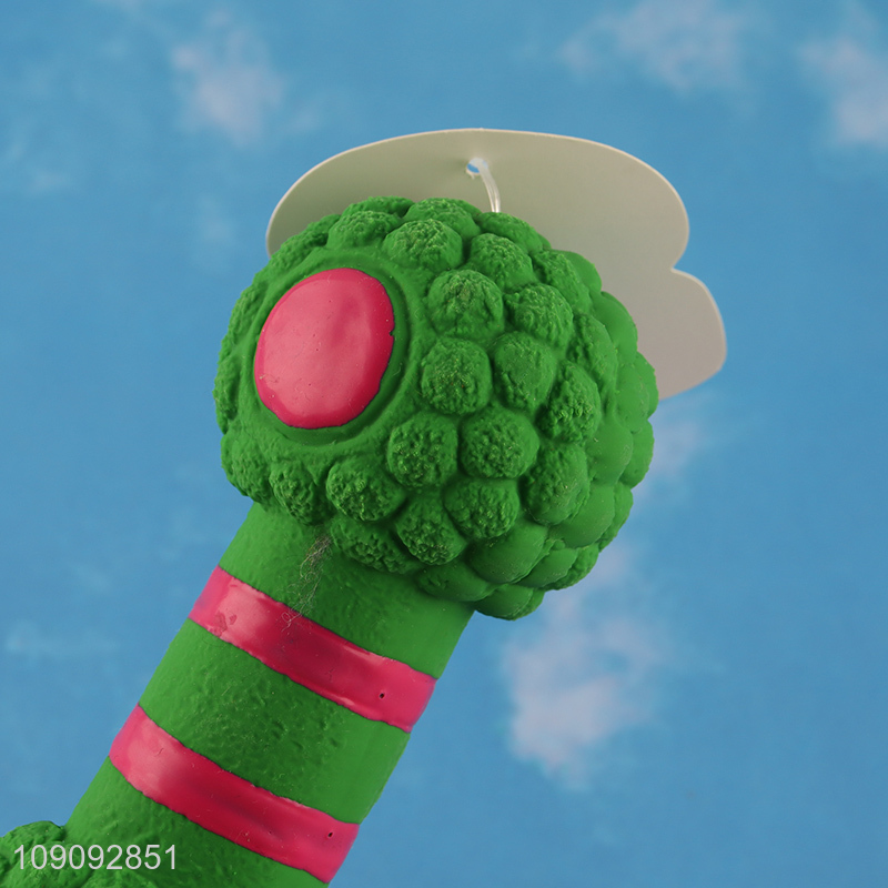 Hot Selling Squeaky Dog Toy Anti-Bite Dog Chew Teething Toy