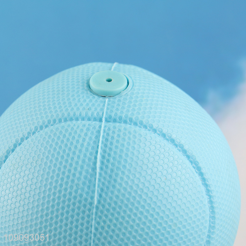 Wholesale Bite Resistant Squeaky Dog Toy Ball Fetch Interactive Toy