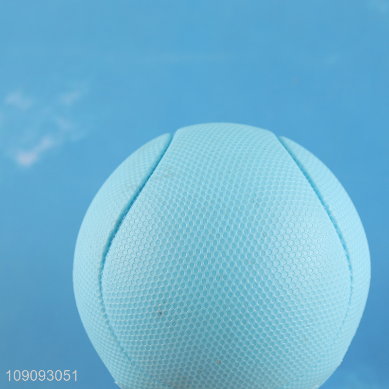 Wholesale Bite Resistant Squeaky Dog Toy Ball Fetch Interactive Toy