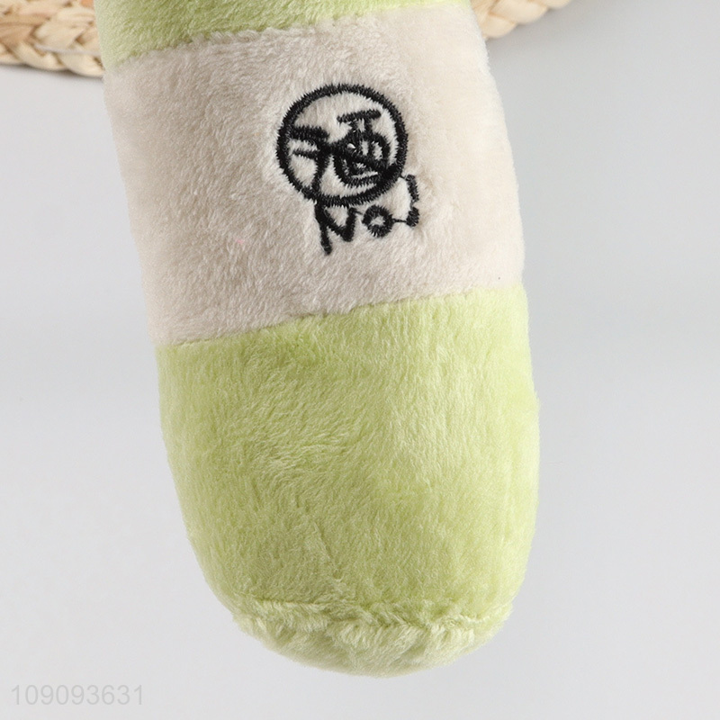 Top selling beer bottle shape grinding teeth squeaky toys pet toys