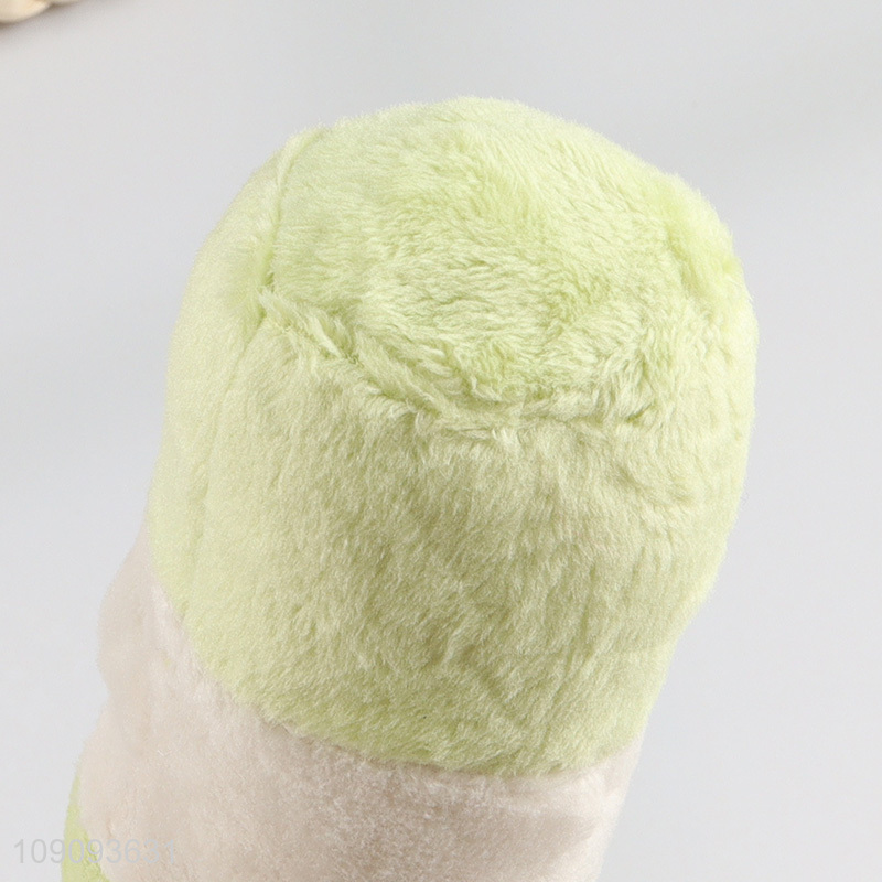 Top selling beer bottle shape grinding teeth squeaky toys pet toys