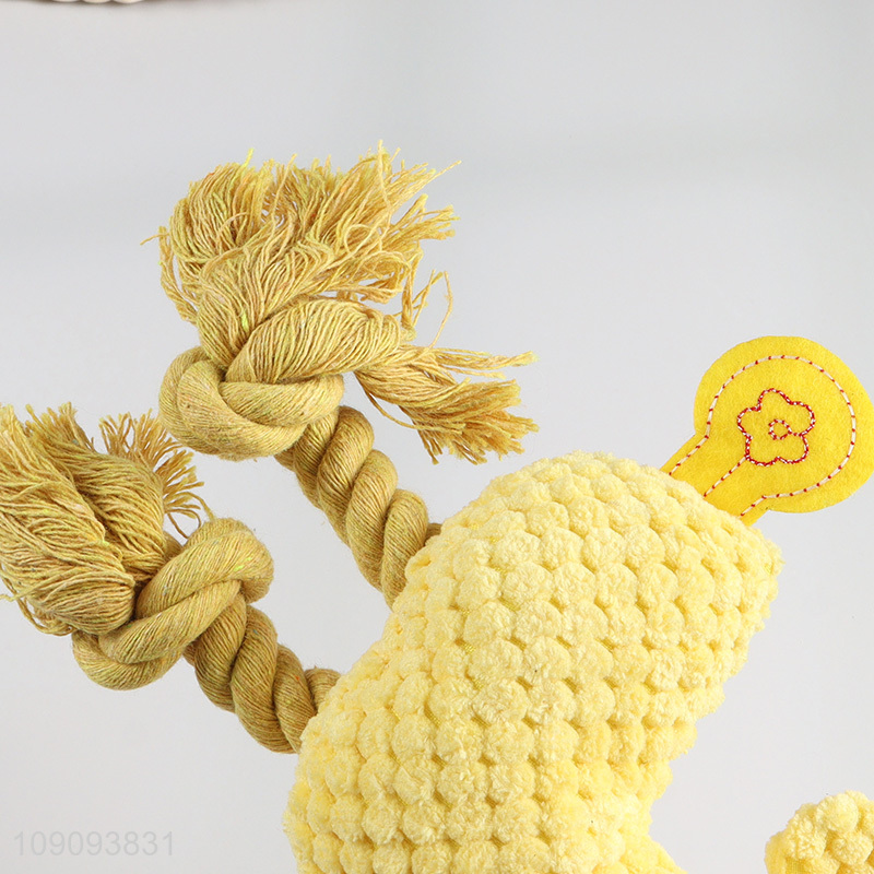 Top products bite-resistant pet chew toy grinding teeth toy with rope