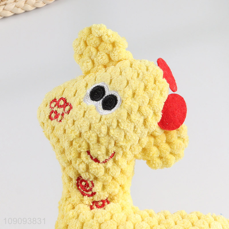 Top products bite-resistant pet chew toy grinding teeth toy with rope