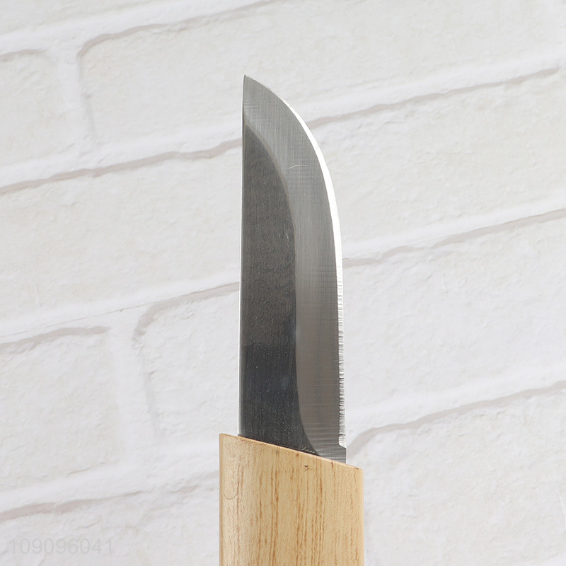 Low price portable outdoor camping fruits knife hunting knife