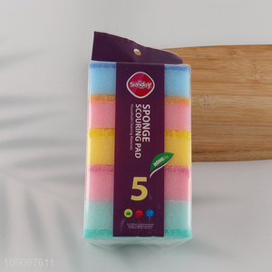 China Imports 5 Pack Dishwashing Sponges Kitchen Sink Cleaning Sponges