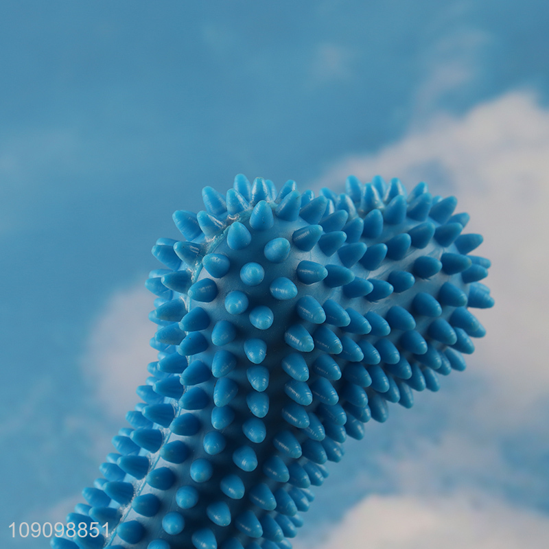 New Product Anti-Bite Squeaky Dog Toy for Training Fetching Teething