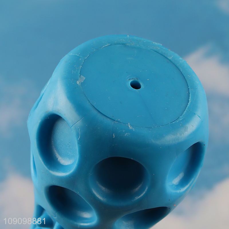 High Quality Dog Squeaky Toy Bite Resistant Dog Chew Toy for Teething