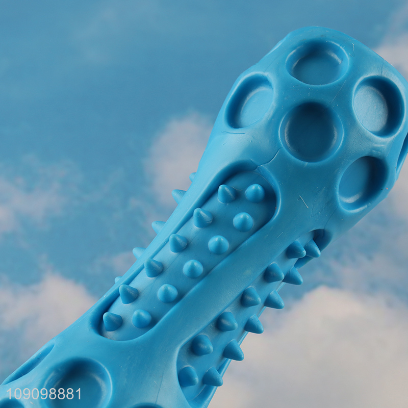 High Quality Dog Squeaky Toy Bite Resistant Dog Chew Toy for Teething