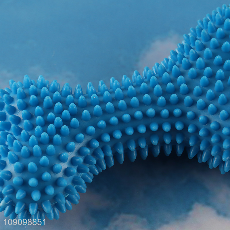 New Product Anti-Bite Squeaky Dog Toy for Training Fetching Teething