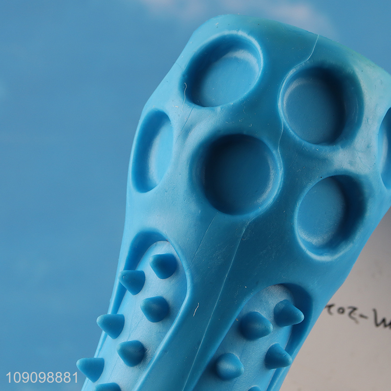 High Quality Dog Squeaky Toy Bite Resistant Dog Chew Toy for Teething