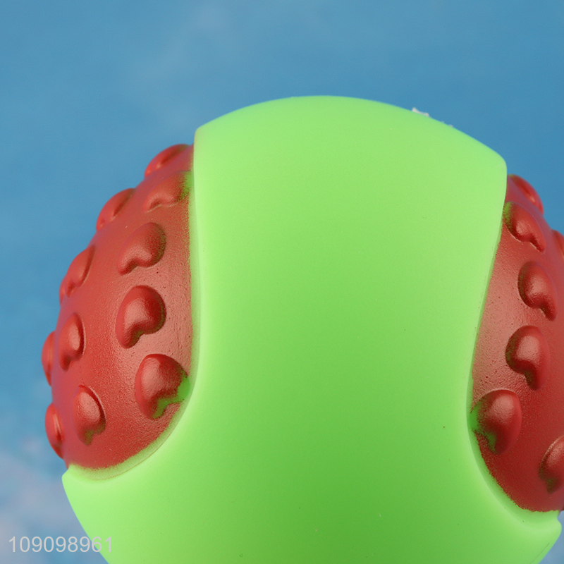 Hot Selling Squeaky Dog Toy Ball Dog Chew Toy Dog Training Toy