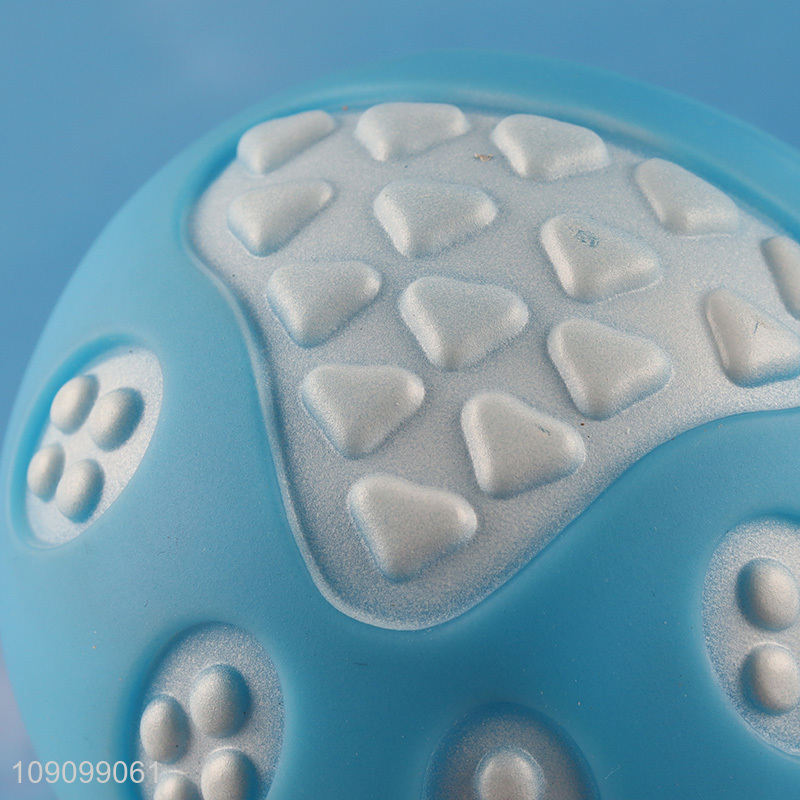 High Quality Bite Resistant Dog Ball Squeaky Dog Toy Fetch Dog Toy