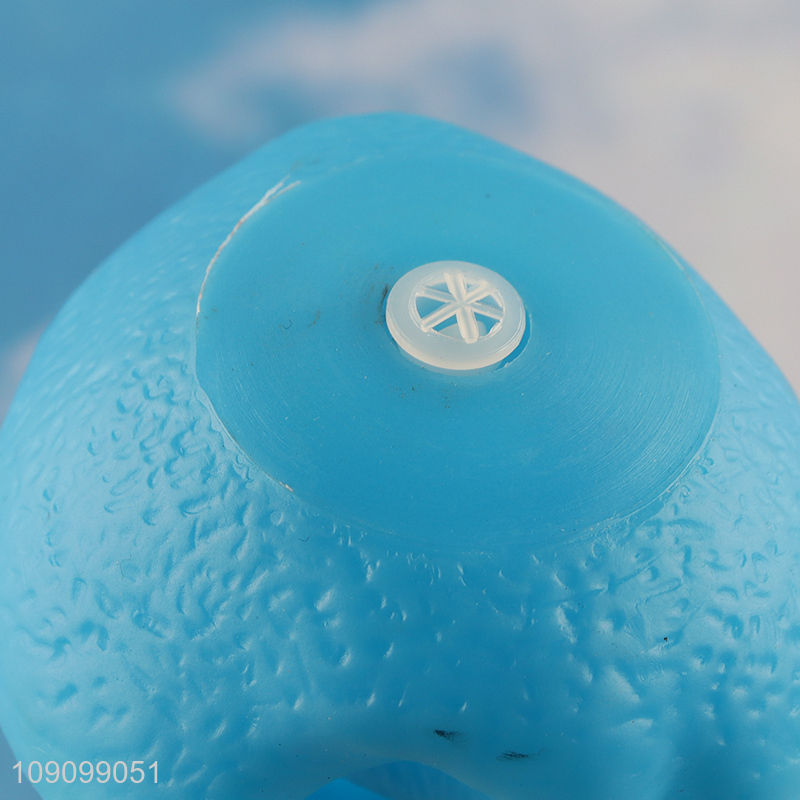 Factory Price Squeaky Dog Toy Ball Creative Dog Ball for Teething