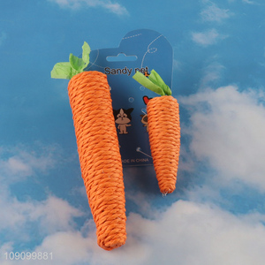 Good Quality 2PCS Carrot Shaped Scratch Resistant <em>Cat</em> Teething Toys