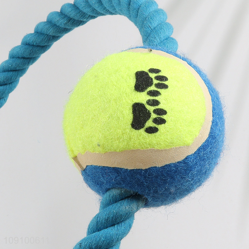 Good quality bite-resistant pet chew toy pet interactive toy for sale