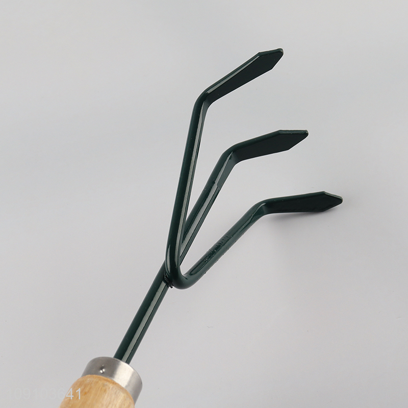 Hot Selling Garden Rake Leaf Leaves Remover Gardening Tools