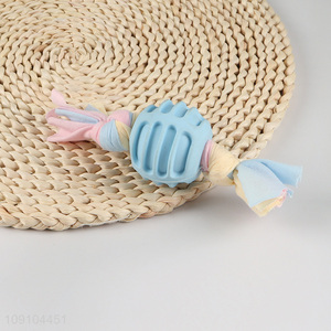 Good quality bite-resistant pet chew toys pet teething toy training toys