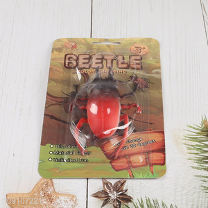 China factory beetle model toy color changing toy for children