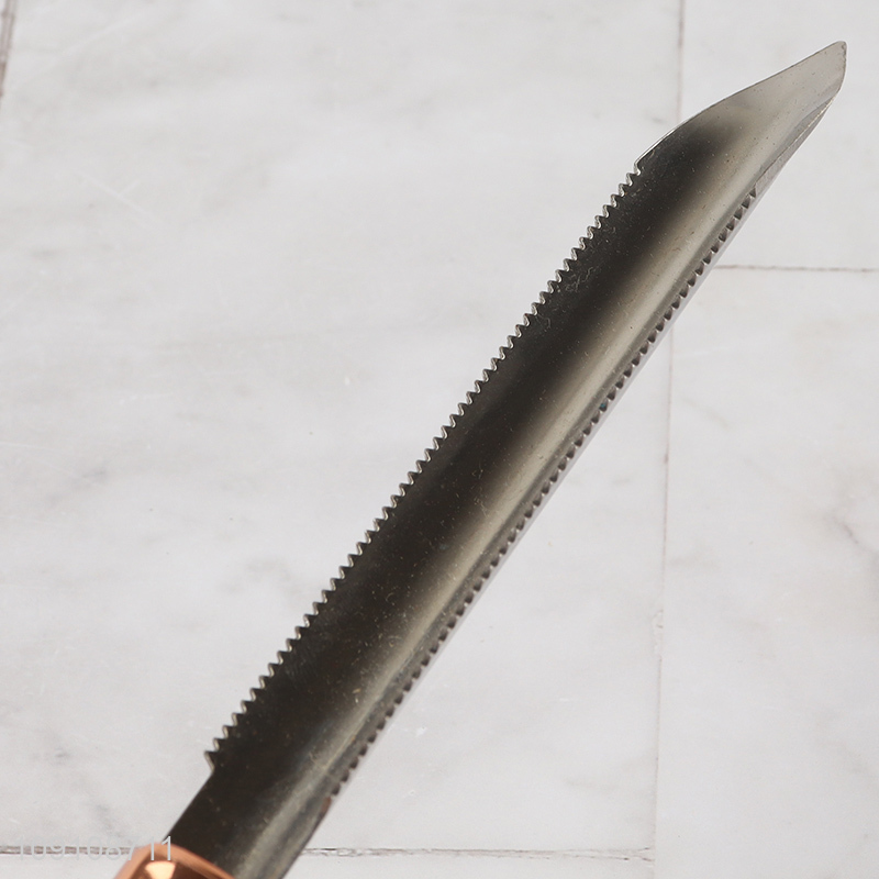 Factory Price Long Stainless Steel Fish Scale Remover Kitchen Tools