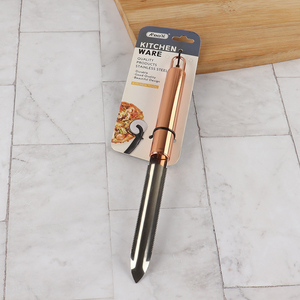 Factory Price Long Stainless Steel Fish Scale Remover Kitchen Tools