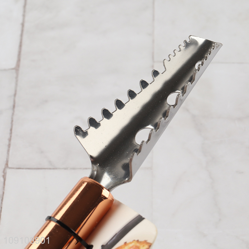 High Quality Stainless Steel Fish Scale Remover Fish Scale Brush