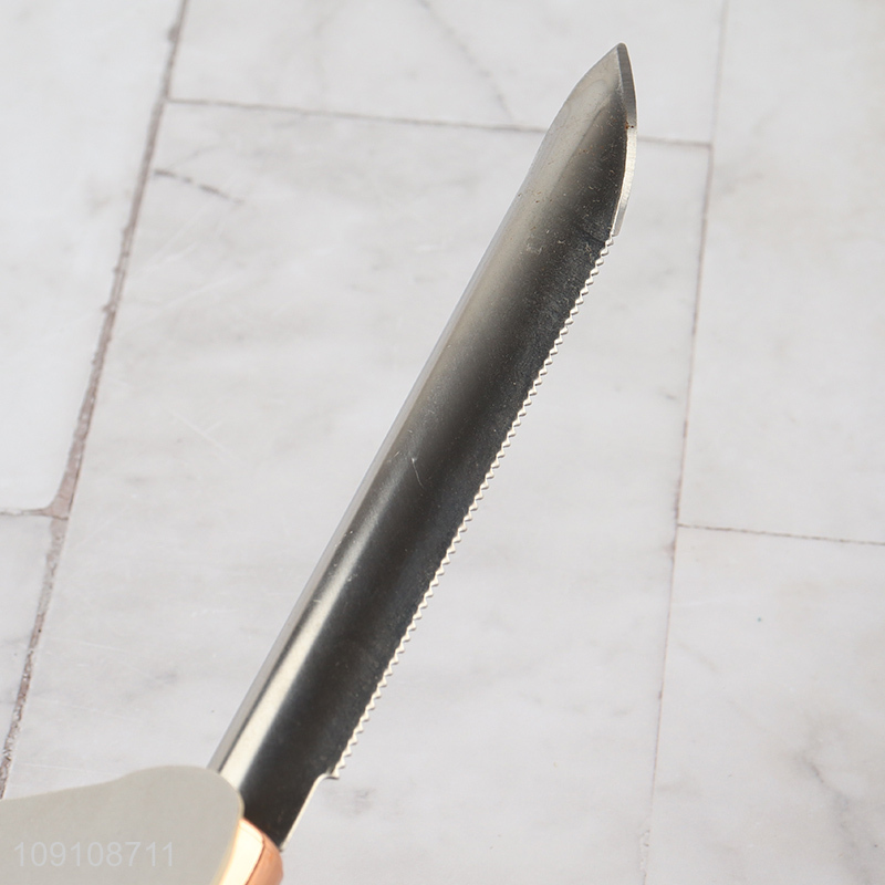 Factory Price Long Stainless Steel Fish Scale Remover Kitchen Tools