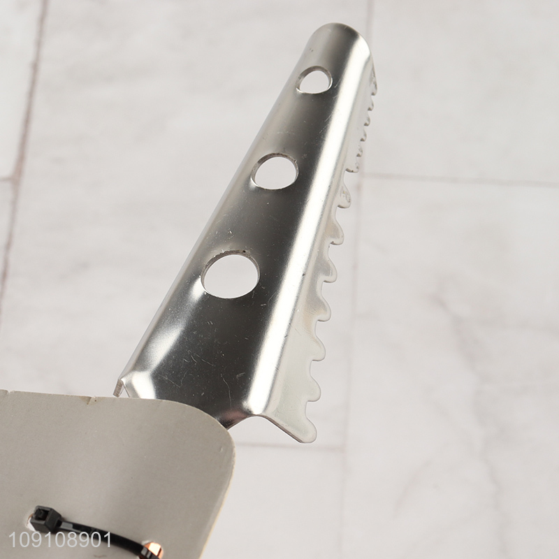 High Quality Stainless Steel Fish Scale Remover Fish Scale Brush