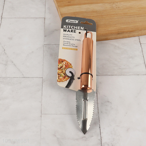 Good Quality Stainless Steel Fish Scale Remover Kitchen Gadgets