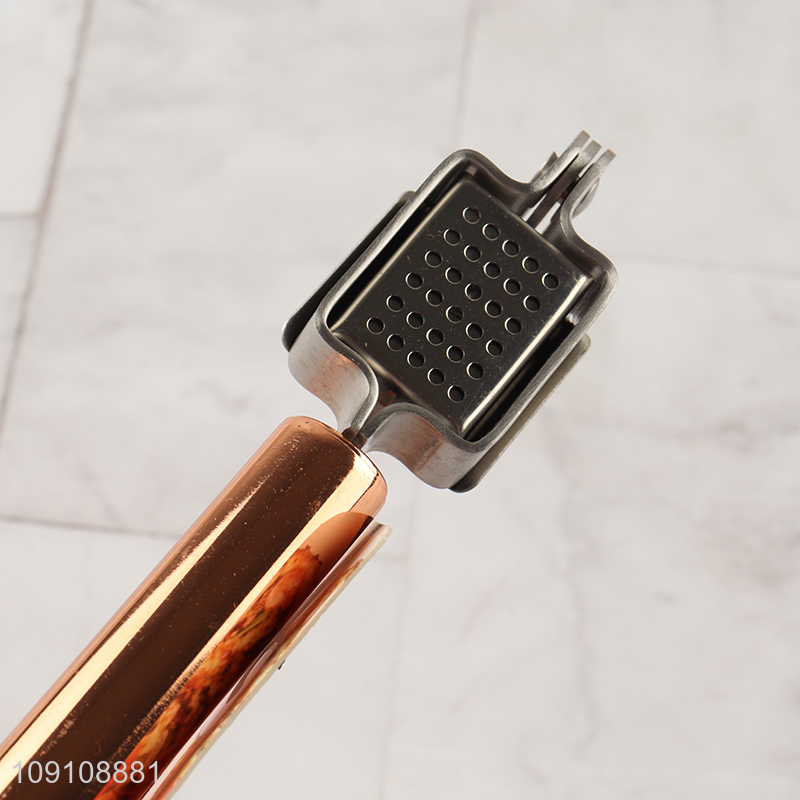 Online Wholesale Stainless Steel Garlic Press Garlic Mincer Crusher