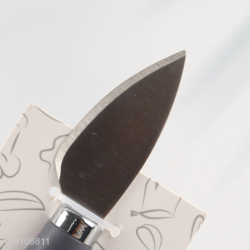 China Imports Stainless Steel Cheese Knife Cheese Slicer Kitchen Tools