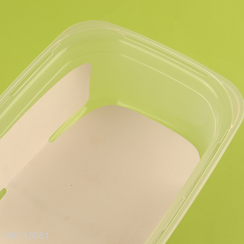 Hot selling double-layer clear portable lunch box with fork