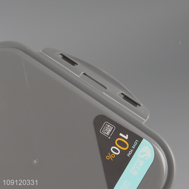 Wholesale 3-Compartment BPA Free Plastic Bento Lunch Box Bento Lunch Container