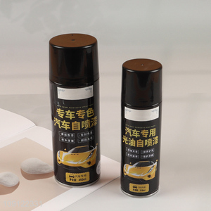 Good Quality 218 450ML Car Paint Spray Automotive Lacquer Spray Paint