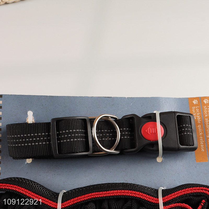 New Product Adjustable Dog Collar and Leash Set with Quick-Rlease Buckle