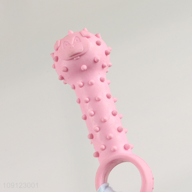New Arrival Non-Toxic Puppy Teething Toy Puppy Teeth Cleaning Toy