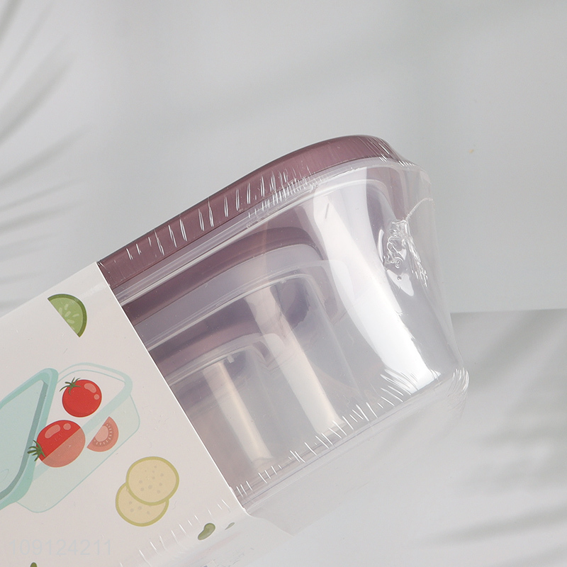 Popular Product 3 Pieces BPA Free Plastic Food Storage Containers with Lids