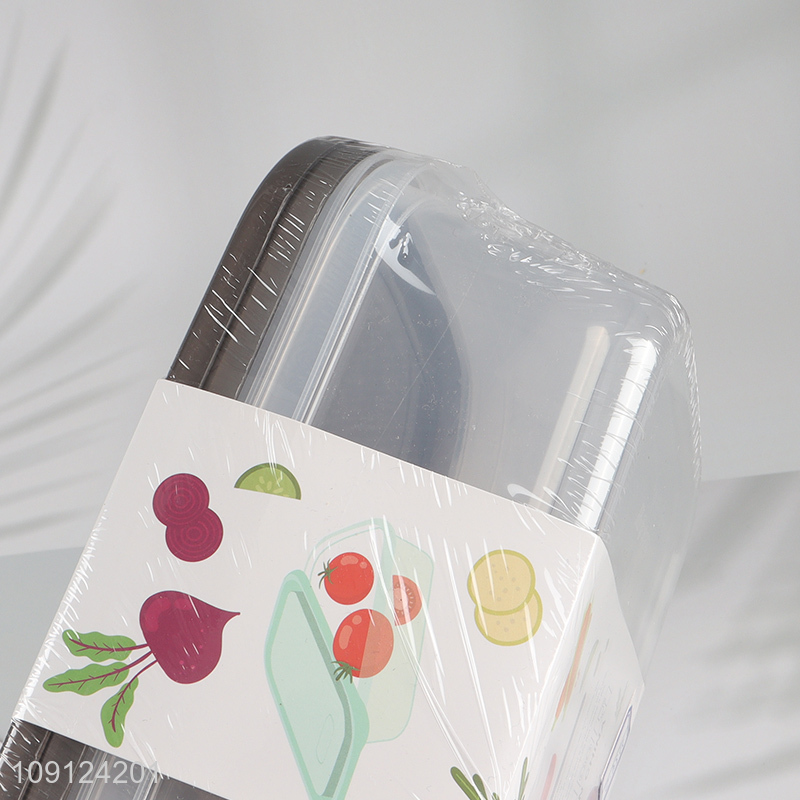 Hot Selling 2 Pieces Food Grade Plastic Food Storage Containers with Lids