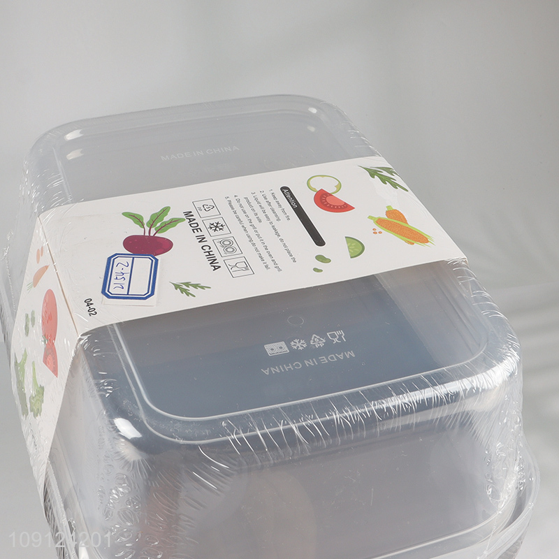 Hot Selling 2 Pieces Food Grade Plastic Food Storage Containers with Lids