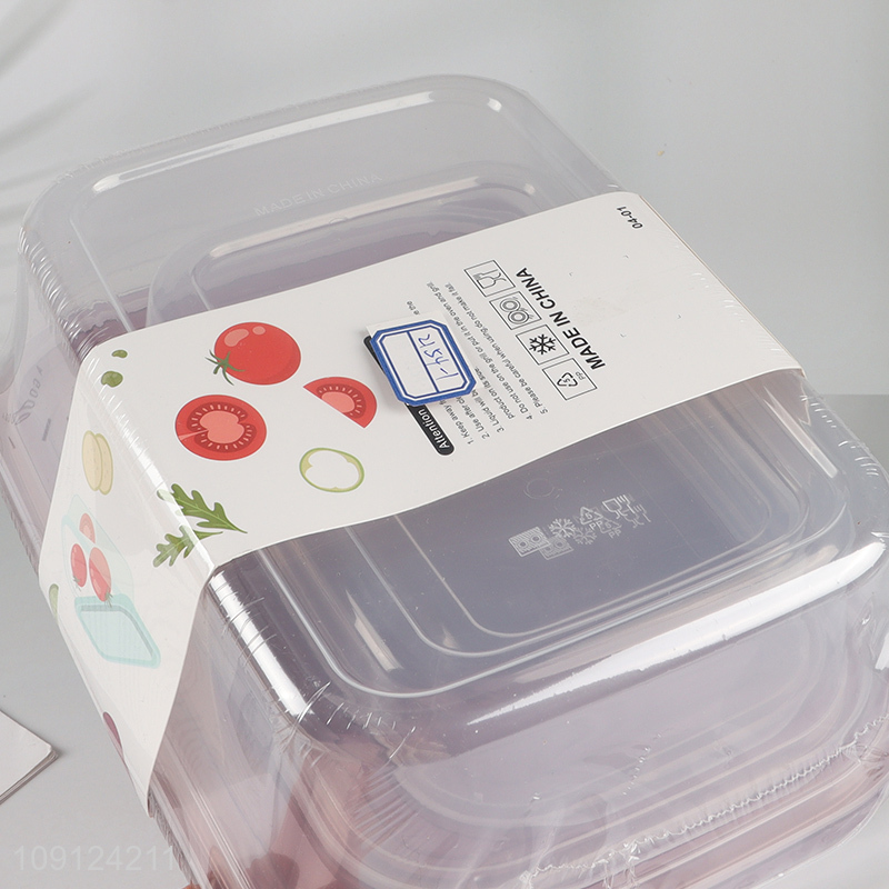 Popular Product 3 Pieces BPA Free Plastic Food Storage Containers with Lids