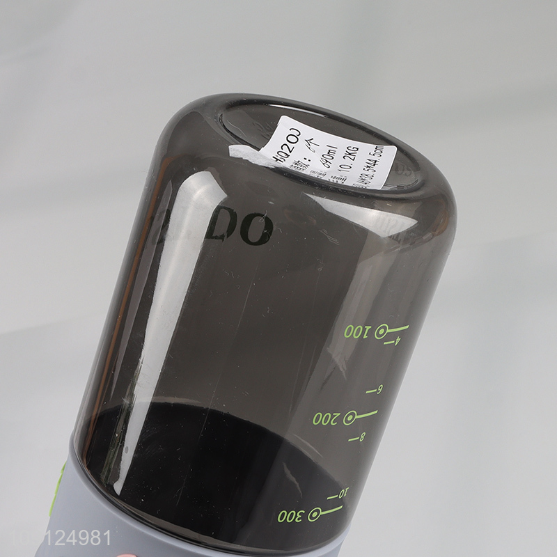 China Imports 690 790ML Plastic Water Bottle with Flip Top Lid & Tea Filter