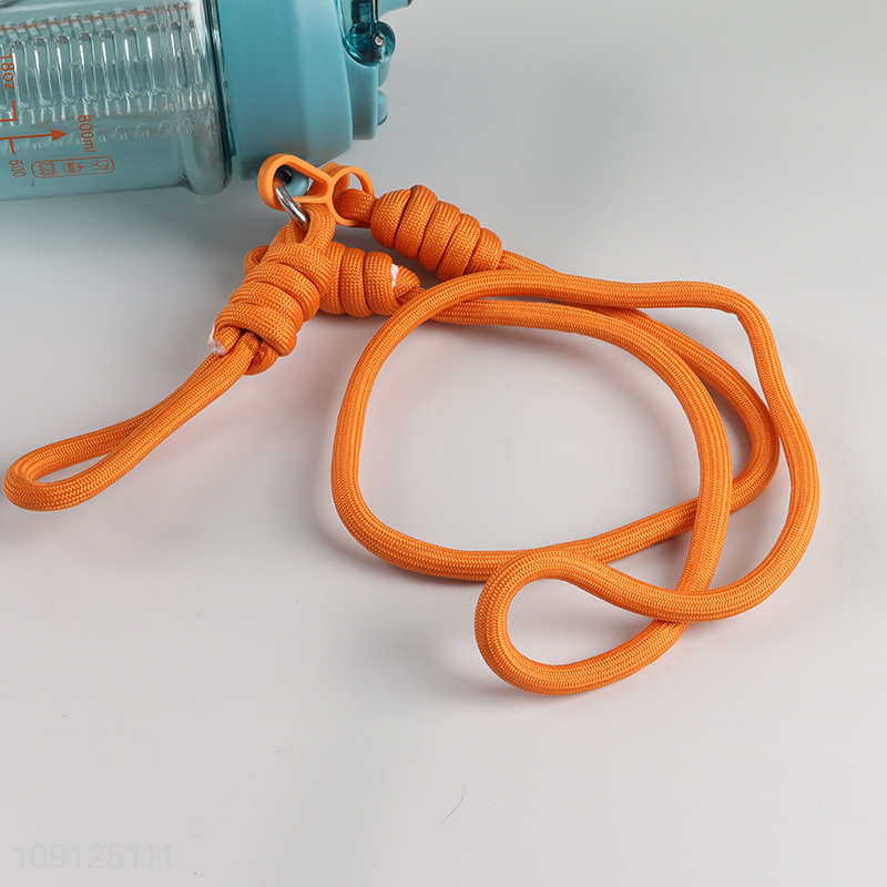 Factory Supply 800ML Leak Proof Plastic Sports Water Bottle with Tea Infuser