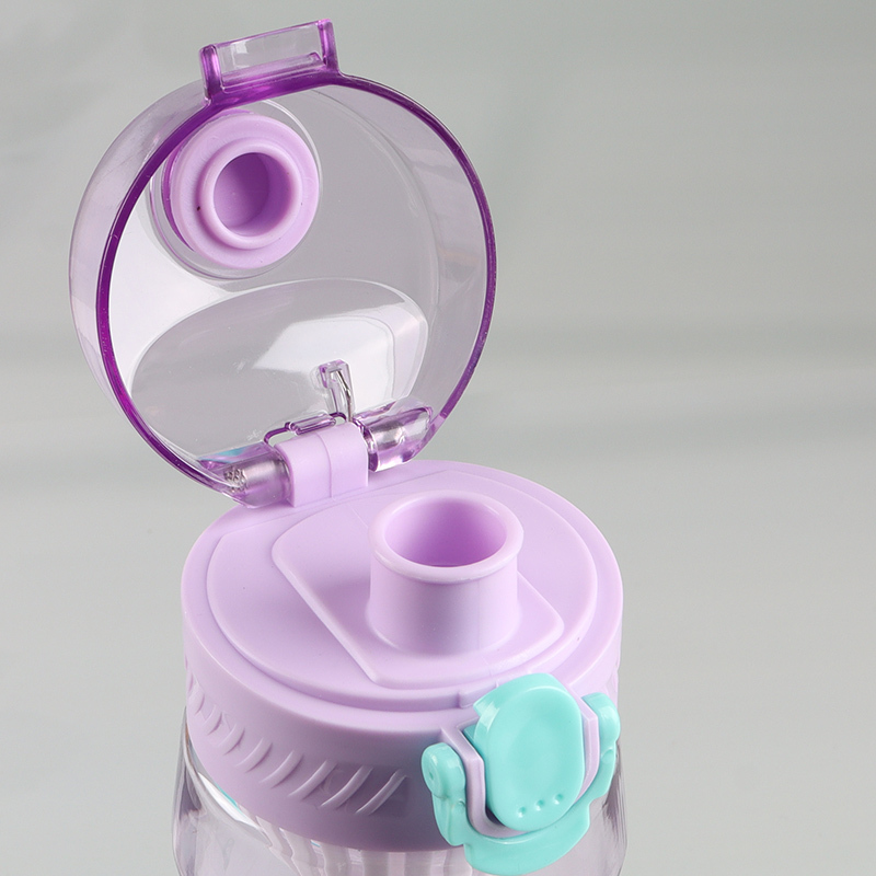 Good Quality 700ML Plastic Water Bottle with Leak Proof Flip Top & Tea Filter