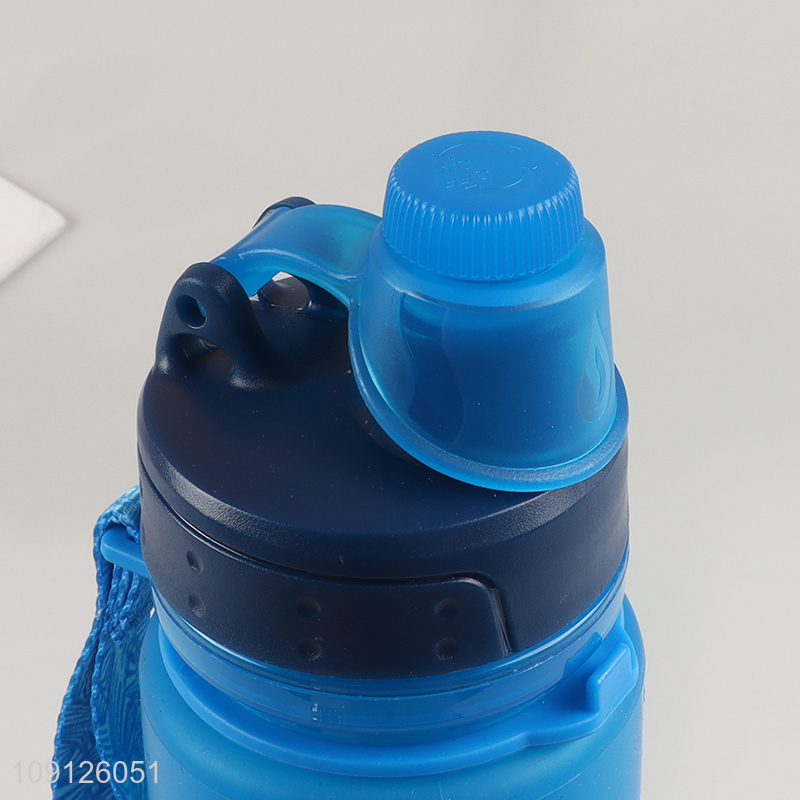 Hot Sale Collapsible Water Bottle Foldable BPA Free Silicone Water Bottle