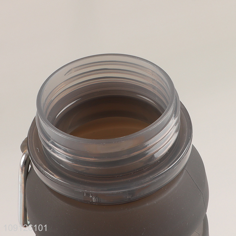 Wholesale Leak Proof Collapsible Silicone Sports Water Bottle with Carabiner