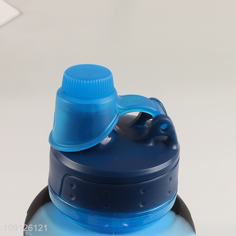 China Wholesale Collapsible Silicone Water Bottle with Carabiner for Indoor Outdoor