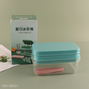 Online Wholesale 2-Tray Plastic Ice Cube Tray with Lid, Bin & Ice Tong