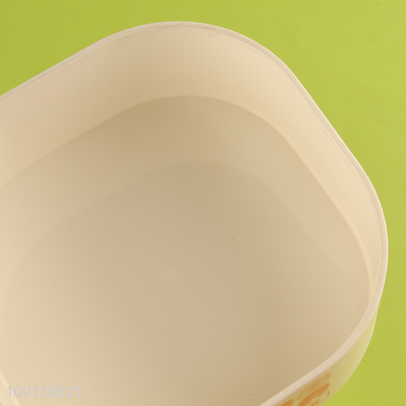 Good Quality Double-Layer Plastic Bento Box Lunch Container with Handle